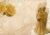 Non-Woven Photo Wallpaper Romantic Gold Decoration Rose Flower 1510 (150 (W) x 105 (H) cm)