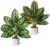 Pack of 2 Small Artificial Plants, for Living Room, Bedroom, Home Decoration, Artificial Plants Like Real for Office, Desk, Room, Bathroom Decoration, Fake Plant, Artificial Plants, Plastic Plants