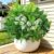 Weldomcor Pack of 12 Artificial Plants Like Real Artificial Plants Outdoor Weatherproof Artificial Balcony Plants UV Resistant Boston Fern Green Leaves Artificial Plants for Patio Garden Porch Window