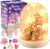 Dislocati DIY Children’s Night Light, Mermaid/Unicorn/Dinosaur/Farm Toy, Birthday Gifts for Children, Ideal Art and Craft Gifts