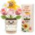 Birthday Gift for Women, Crocheted Flowers in Pot with Gift Box – Gift for Mum, Girlfriend, Sister, Grandma, Daughter & Colleague, Birthday Decoration