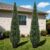 GarveeLife 5ft Artificial Cedar Topiary Trees – Set of 2