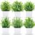 BTSD-home Set of 6 Artificial Plants in White Pot for Windowsill and Table