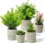 Der Rose Pack of 5 Artificial Plants, Mini Artificial Plants in Pot for