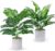 BTSD-home Fake Plants Künstliche Deko Künstliche Pflanzen Badezimmer Balkon Deko Pflanzen Schildkröte Rückenblätter Taro Blätter Tropische Pflanzen 2 Stück