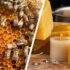 Vegane Angebote & Schnäppchen vom 28.9.