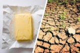 Klimakiller Butter: Deshalb ist sie so klimaschädlich!
