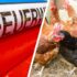 Wie Medikamente (nicht nur) Gastronomen aus der Alkoholabhängigkeit helfen können – Gourmet Report