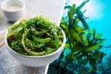 Jod-Aufnahme vegan verbessern: So geht’s (ganz ohne Fisch)!