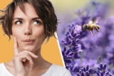 Ist Honig eigentlich vegan? (K)eine einfache Frage!
