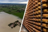 Klimakiller-Käse? So wesentlich sind die Folgen!