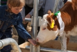 Studie: Machen wir unsere Gene uns gewissenhafter – und langlebiger?