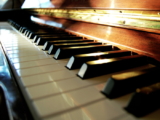 Tierprodukte in Musikinstrumenten