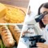 Butter – Das Kochbuch für die beste Zutat der Welt