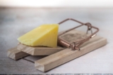 22 gute Gründe gegen Käse