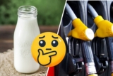 Kuhmilch so klimaschädlich wie brennendes Benzin – wirklich?