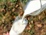 Enthält Sojamilch Laktose (Milchzucker)?